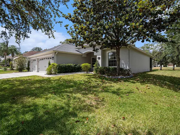 11106 BRIDGECREEK DR, Riverview, FL 33569