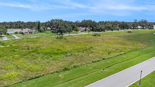 14264 PINE STRAW CT, Dover, FL 33527