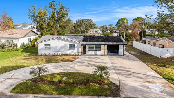 239 FREEPORT AVE NE, St Petersburg, FL 33702