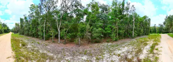 HEMLOCK ST, Interlachen, FL 32148