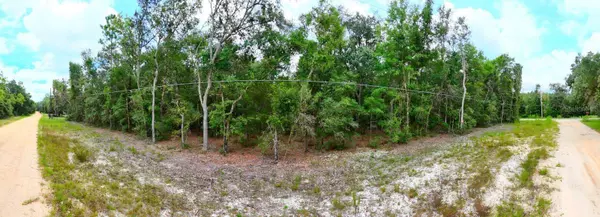 HEMLOCK ST, Interlachen, FL 32148