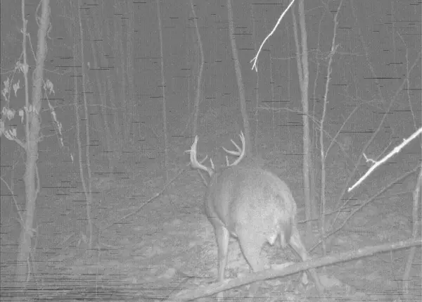 1029.1 290th AVE, Bone Lake Twp, WI 54837