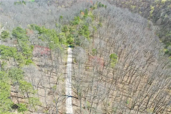 0001 White Pine RD, Glenville, WV 26351