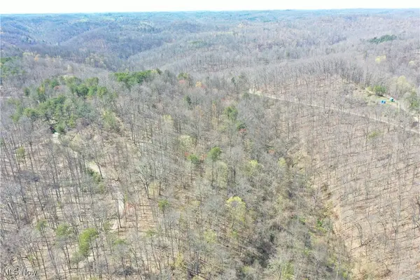 0001 White Pine RD, Glenville, WV 26351