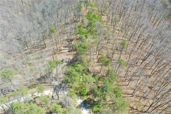 0001 White Pine RD, Glenville, WV 26351