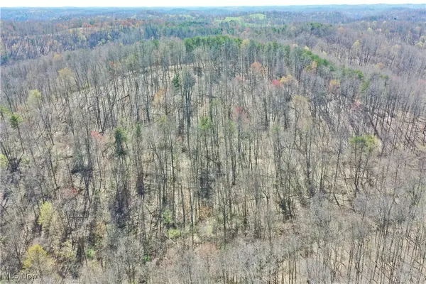 0001 White Pine RD, Glenville, WV 26351