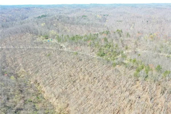 0001 White Pine RD, Glenville, WV 26351