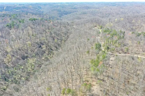 0001 White Pine RD, Glenville, WV 26351