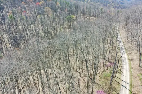 0001 White Pine RD, Glenville, WV 26351