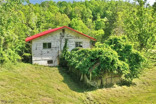 627 Straight Fork RD, Smithville, WV 26178