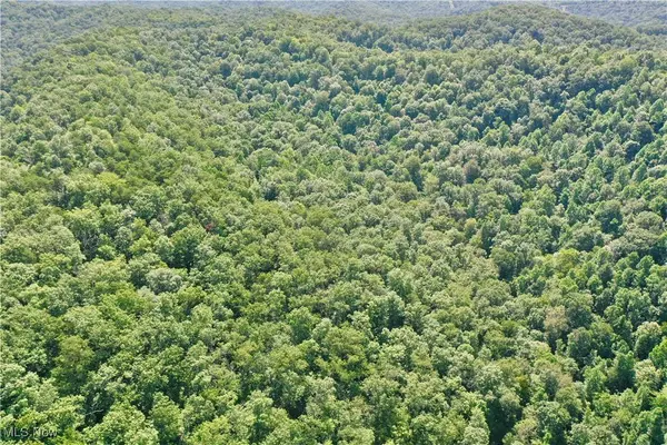 0002 Big Root RD, Big Bend, WV 26136