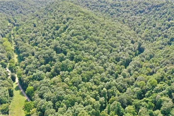0002 Big Root RD, Big Bend, WV 26136