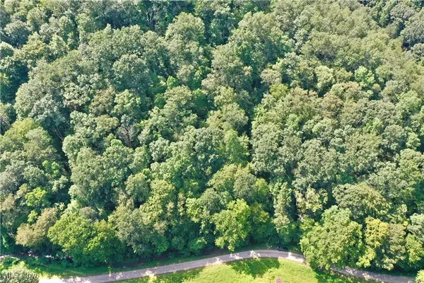 0002 Big Root RD, Big Bend, WV 26136