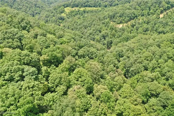 1588 Crummies Creek RD, Arnoldsburg, WV 25234
