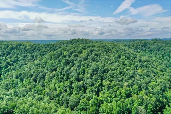 0002 Big Root RD, Big Bend, WV 26136