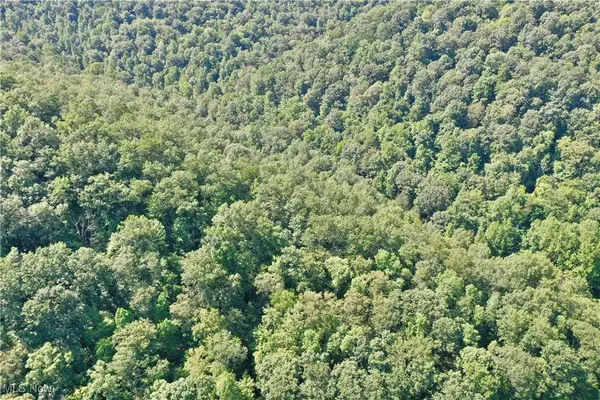 0002 Big Root RD, Big Bend, WV 26136