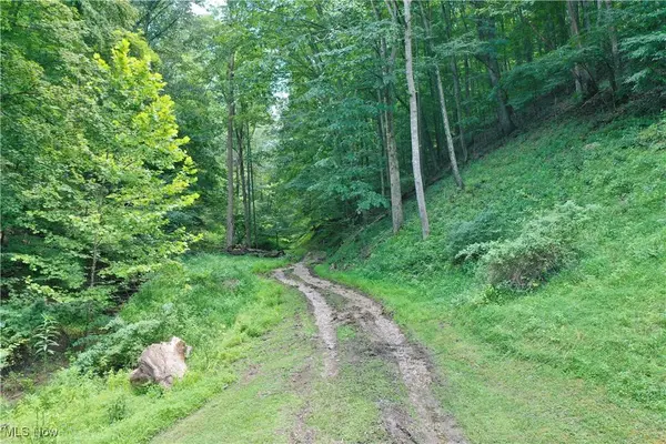 1588 Crummies Creek RD, Arnoldsburg, WV 25234
