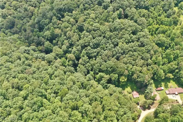 1588 Crummies Creek RD, Arnoldsburg, WV 25234