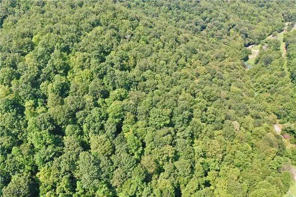 0002 Big Root RD, Big Bend, WV 26136