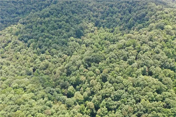 1588 Crummies Creek RD, Arnoldsburg, WV 25234