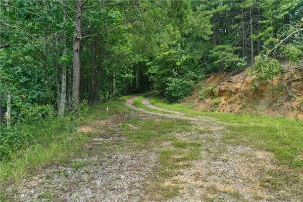 164 Outback DR, Grantsville, WV 26147