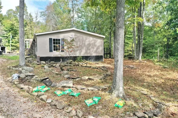 328 Trace Fork RD, Gandeeville, WV 25243