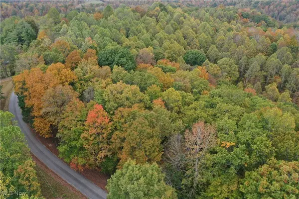 731 Riffle Run RD, Grantsville, WV 26147