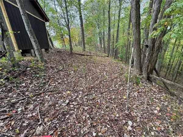 731 Riffle Run RD, Grantsville, WV 26147