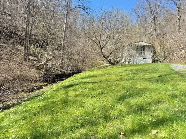 24618 S Calhoun HWY, Chloe, WV 25235