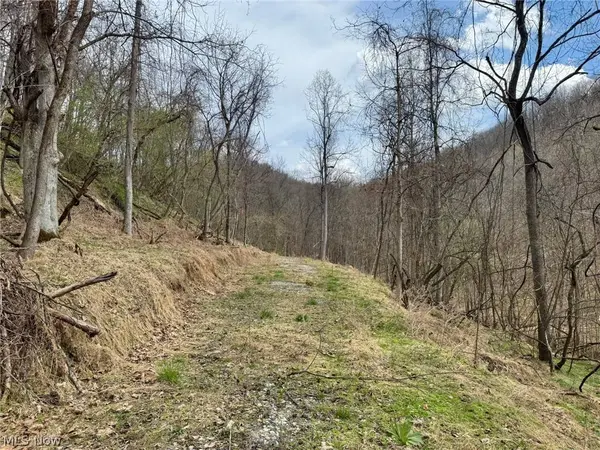 1536 Jakes Fork RD, Arnoldsburg, WV 25234