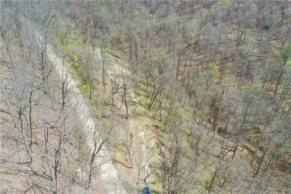1536 Jakes Fork RD, Arnoldsburg, WV 25234