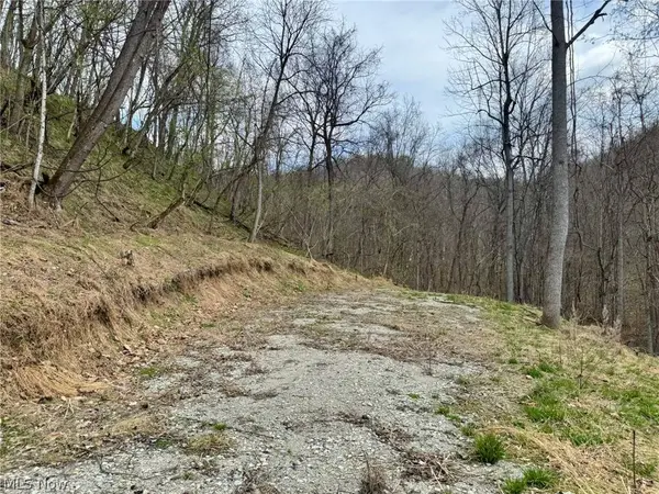 1536 Jakes Fork RD, Arnoldsburg, WV 25234