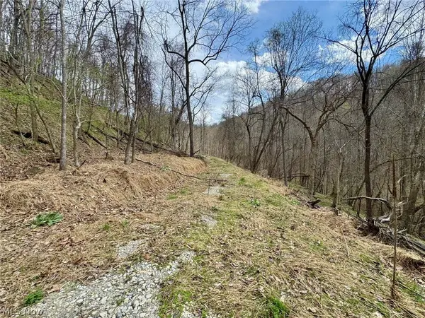 1536 Jakes Fork RD, Arnoldsburg, WV 25234