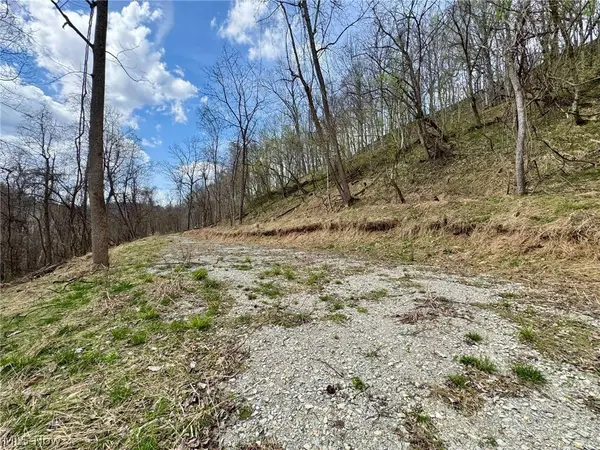1536 Jakes Fork RD, Arnoldsburg, WV 25234