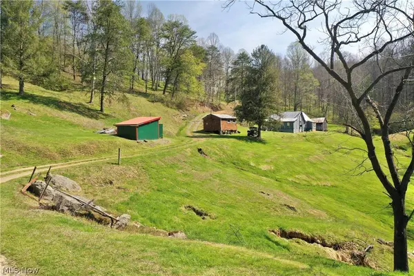 6670 Lower Run RD, WV 25267