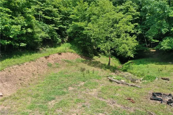 998 Sugarcamp RD, Big Bend, WV 26136