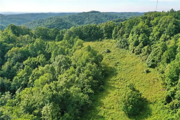 0002 Nicut Run RD, Duck, WV 26623
