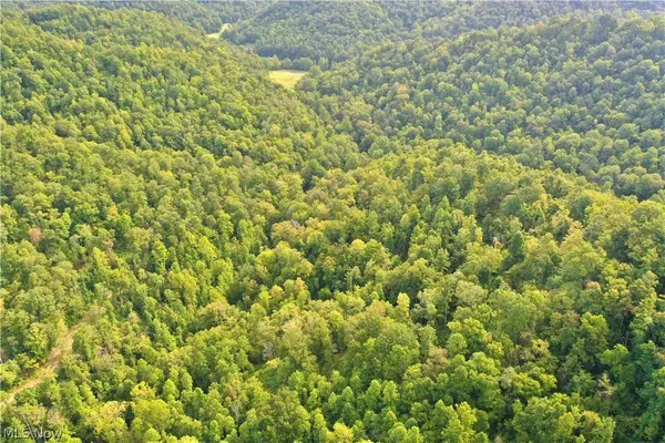 0002 Nicut Run RD, Duck, WV 26623