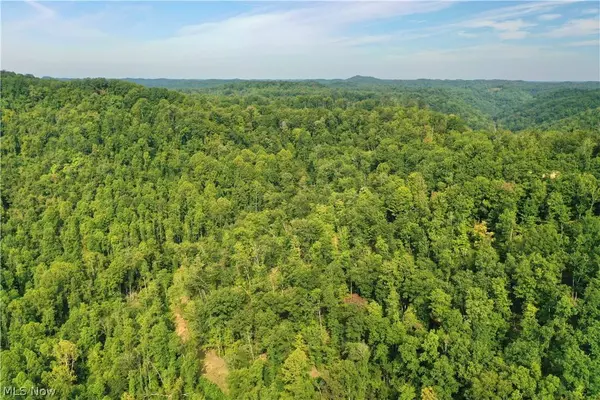 0002 Nicut Run RD, Duck, WV 26623