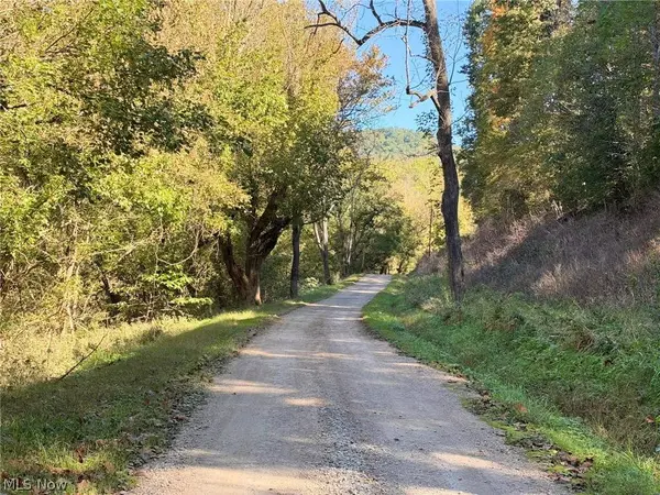 0001 Lock Five RD, Elizabeth, WV 26143