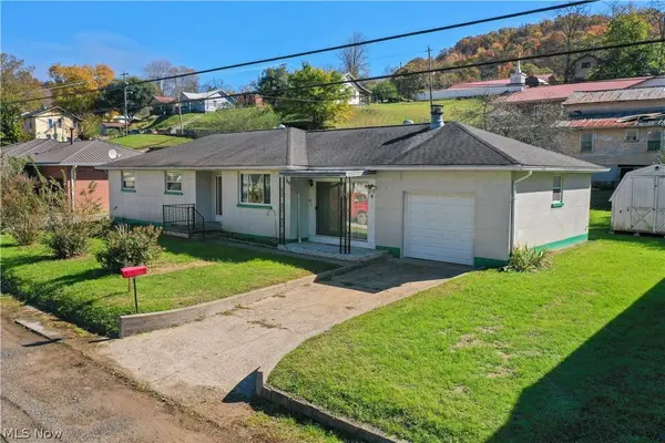 217 Mill ST, Grantsville, WV 26147