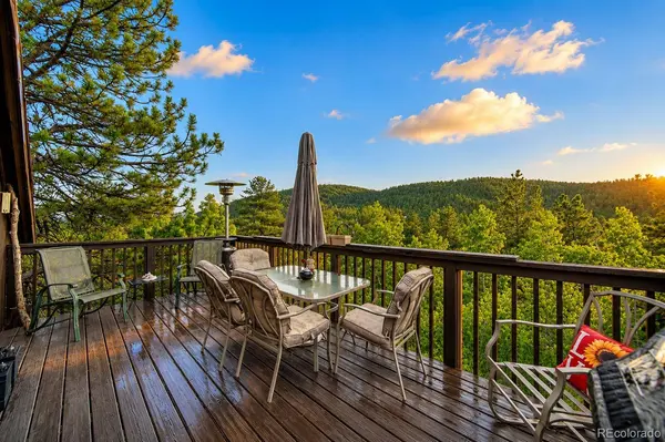 229 Mcdougal RD, Bailey, CO 80421