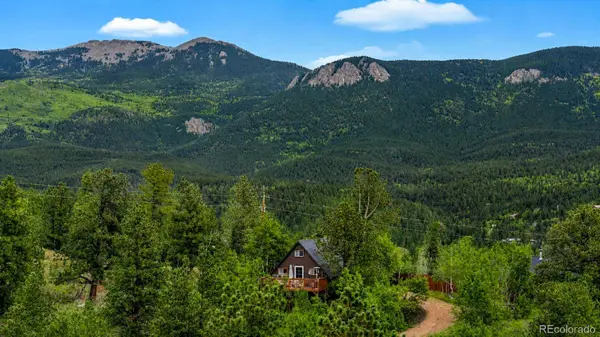 229 Mcdougal RD, Bailey, CO 80421