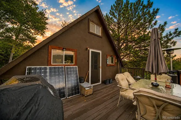 229 Mcdougal RD, Bailey, CO 80421