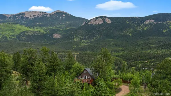 229 Mcdougal RD, Bailey, CO 80421