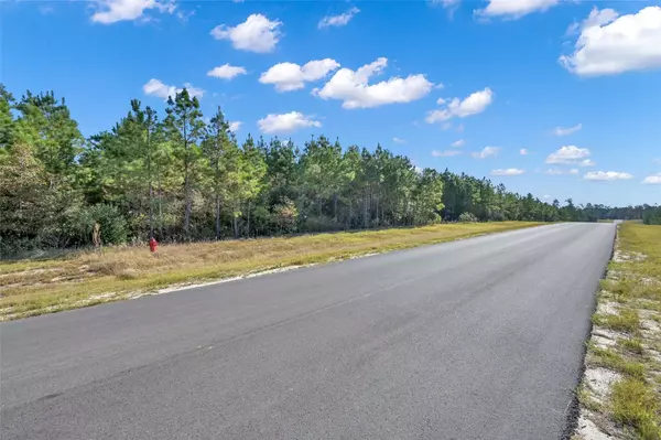 12007 High Branch WAY, Willis, TX 77378