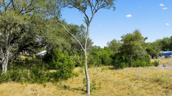 1007 Deer Run Pass, Canyon Lake, TX 78133