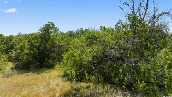 1007 Deer Run Pass, Canyon Lake, TX 78133