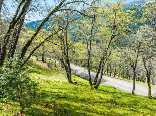 422 Glenview DR, Ashland, OR 97520