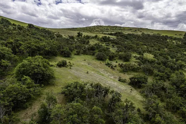 2800 Dead Indian Memorial RD, Ashland, OR 97520